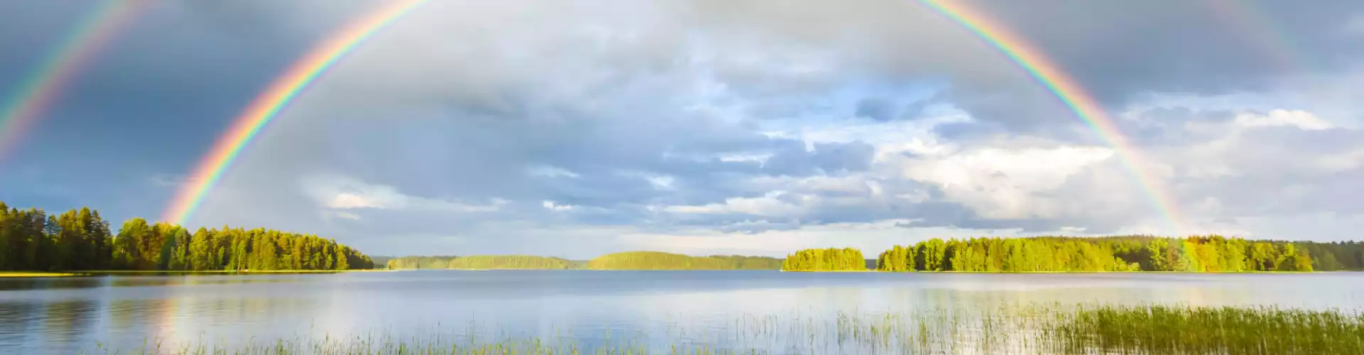 Five Minute Check-in Meditation - Online Class by Maureen  Doran