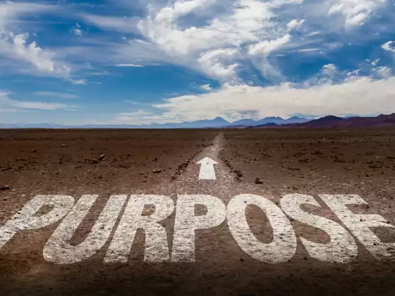 What is my “Why?” Living Intentionally with Purpose and Meaning