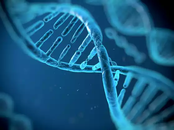 DNA'yı keşfetmek*