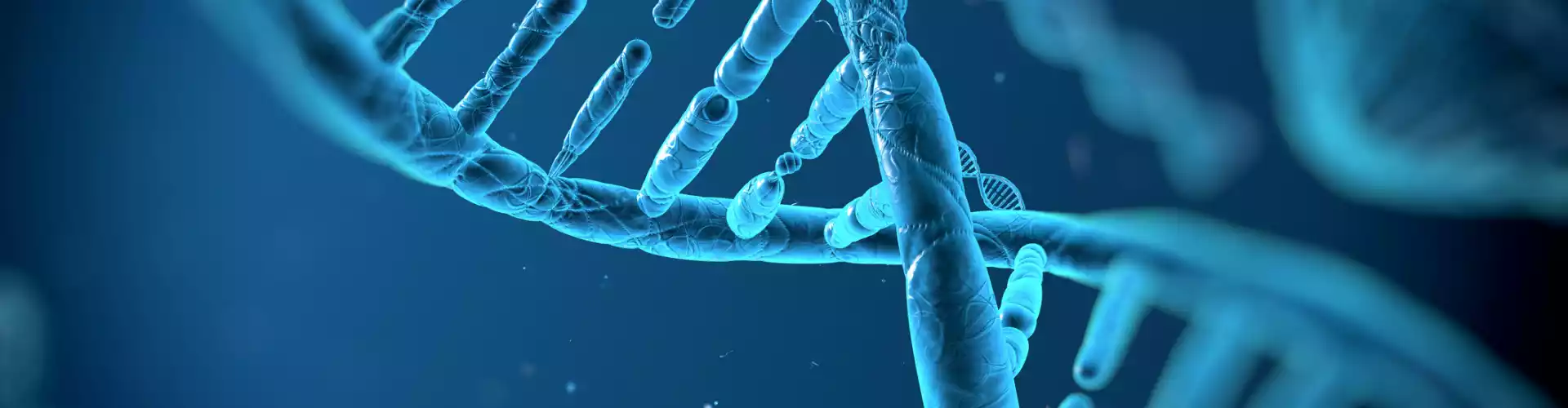 DNA'yı keşfetmek* - Online Class by Diane Dunlevy
